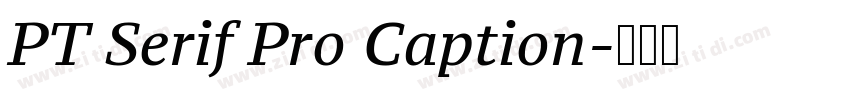 PT Serif Pro Caption字体转换